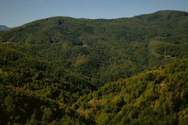 Comment l'actualité transforme nos conversations au jour le jour ?